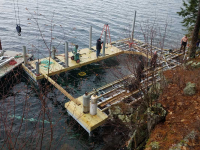 Pile dock during construction - this will serve as a foundation for a boathouse