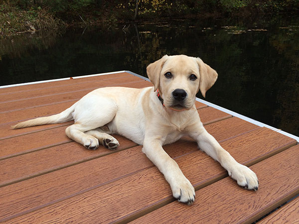 Leo on the dock